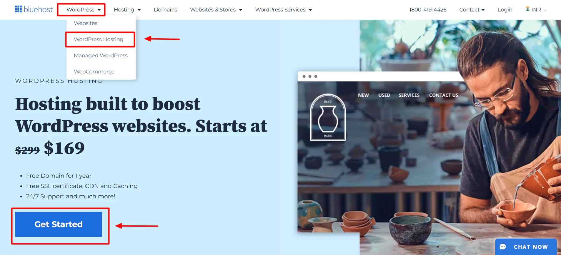 Bluehost website