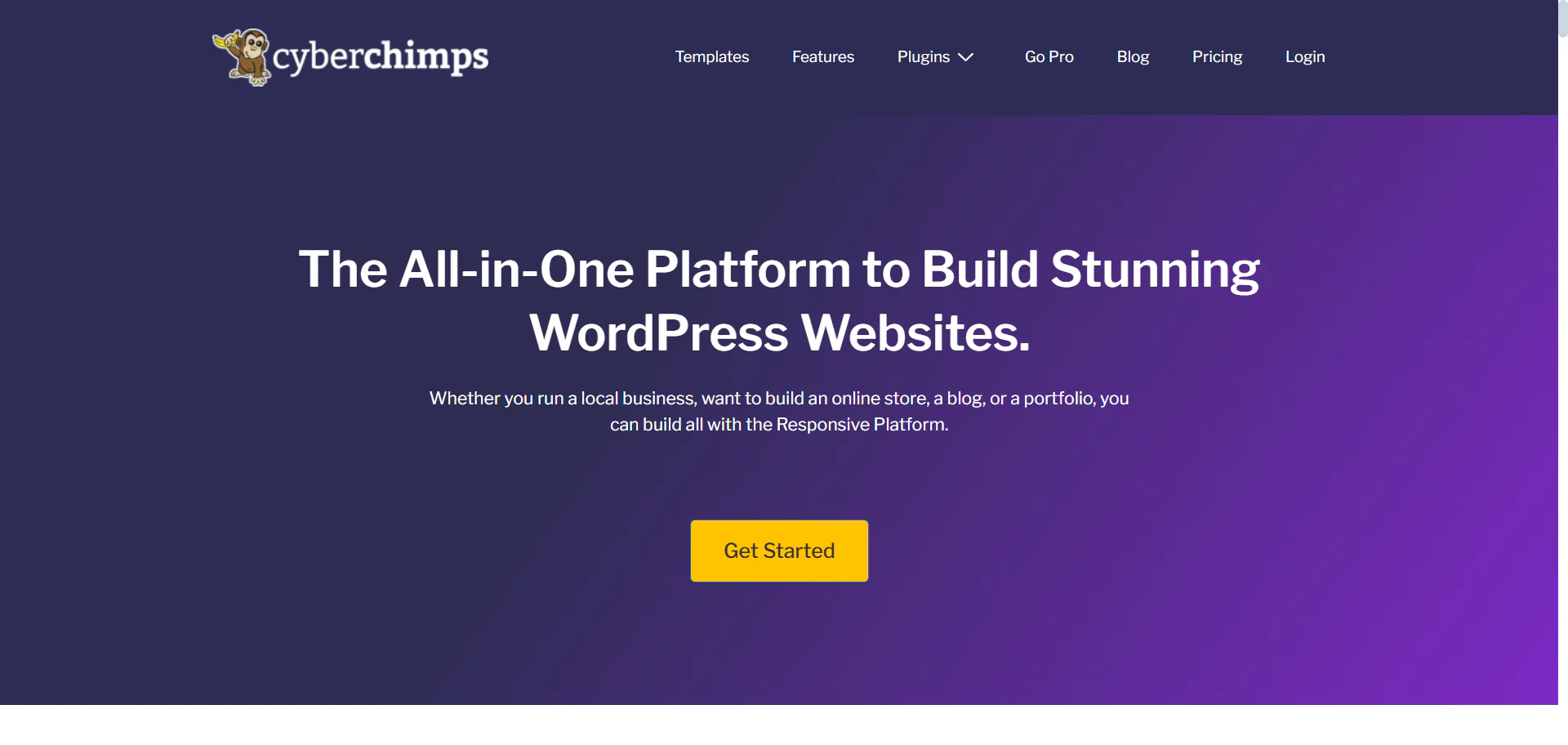 Cyberchimps website