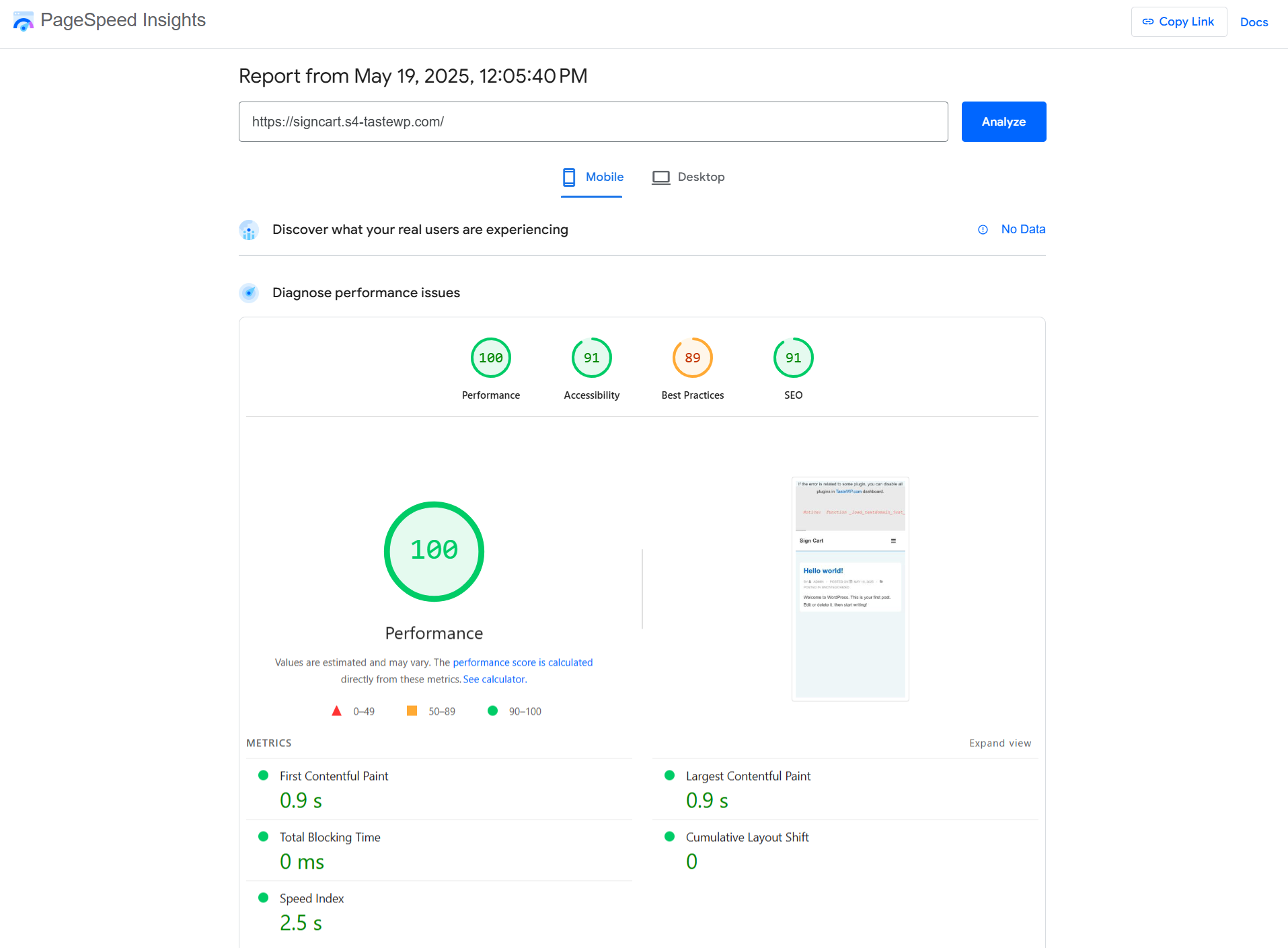 Cyberchimps Responsive Theme Performance after website making
