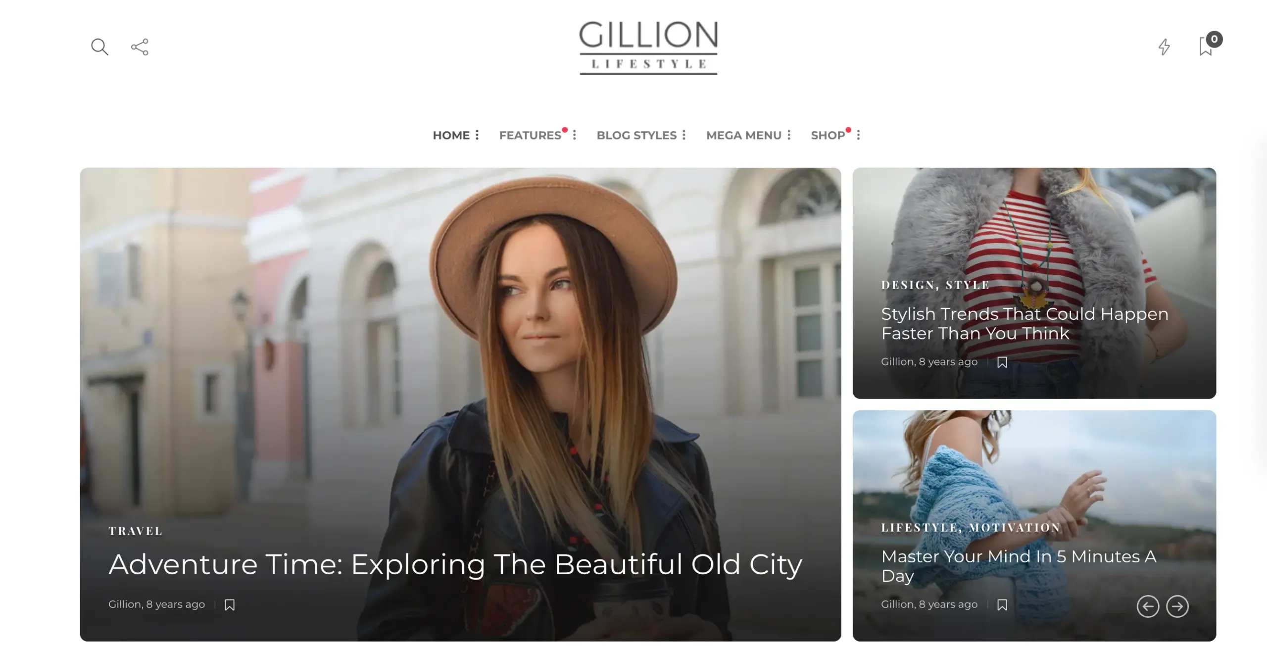 Gillion Lifestyle theme