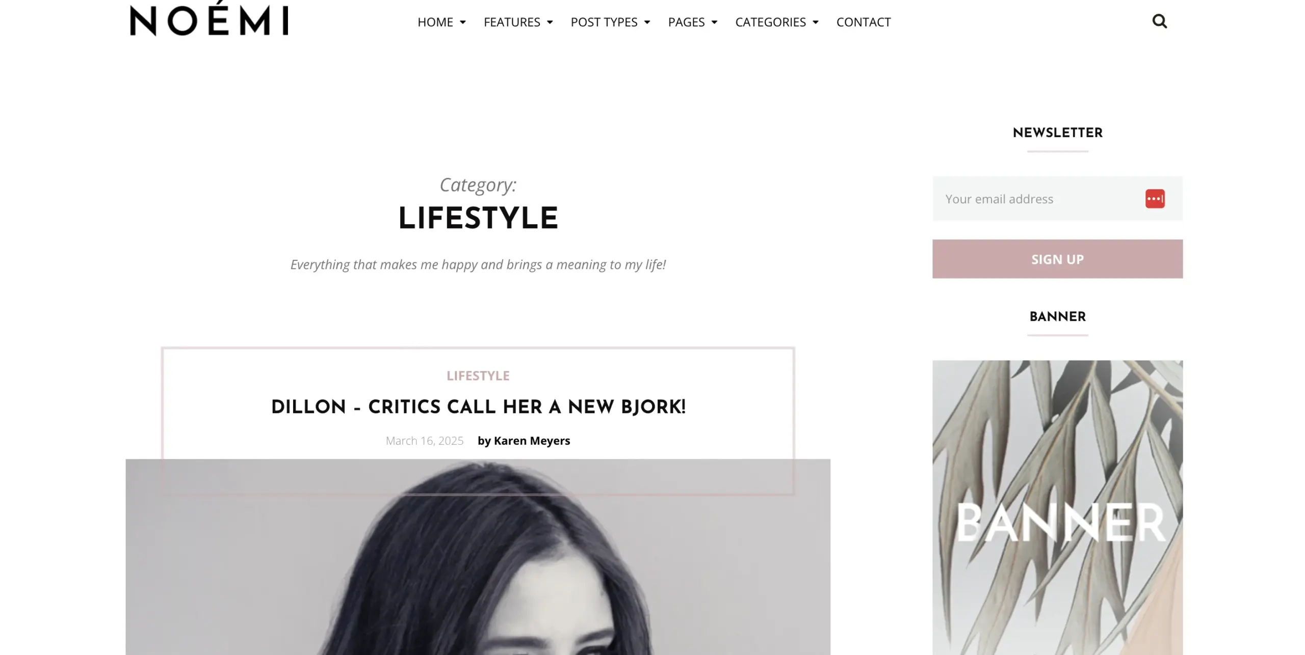 Noemi Lifestyle and fashnion WordPress theme