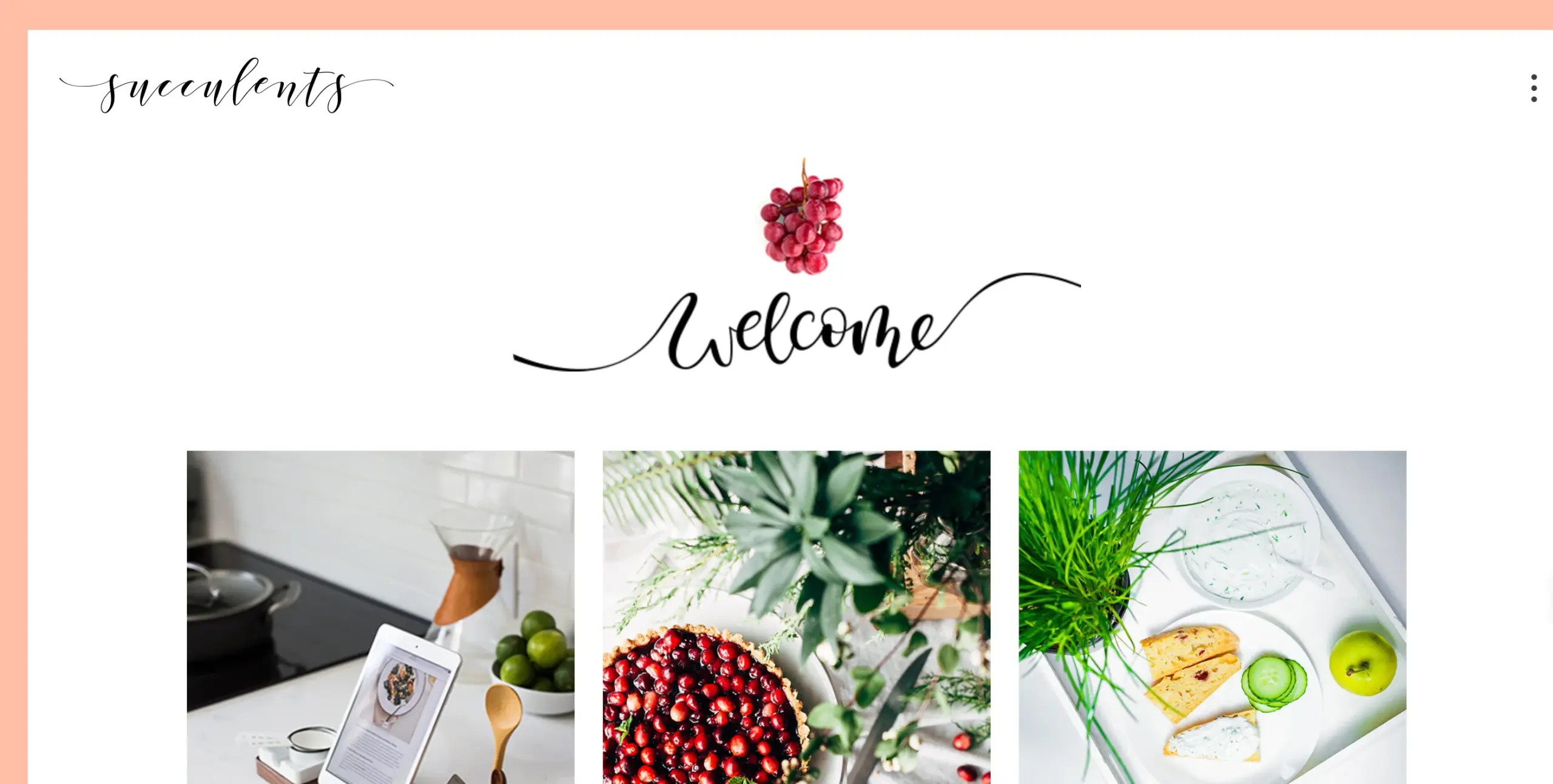 Succulents Portfolio Pinterest theme