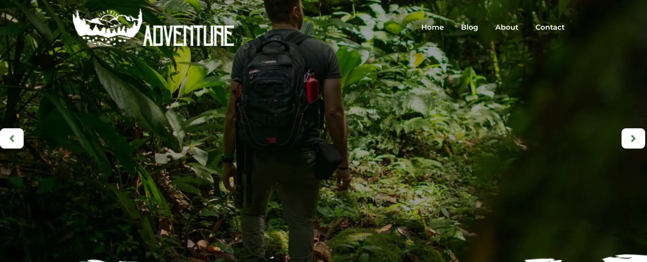 Travel Blogger Template website