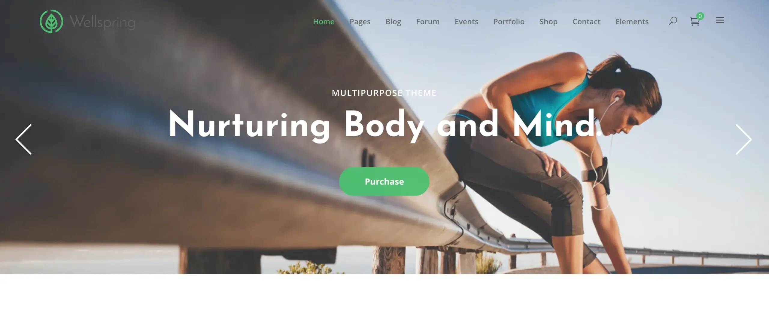 Wellspring theme