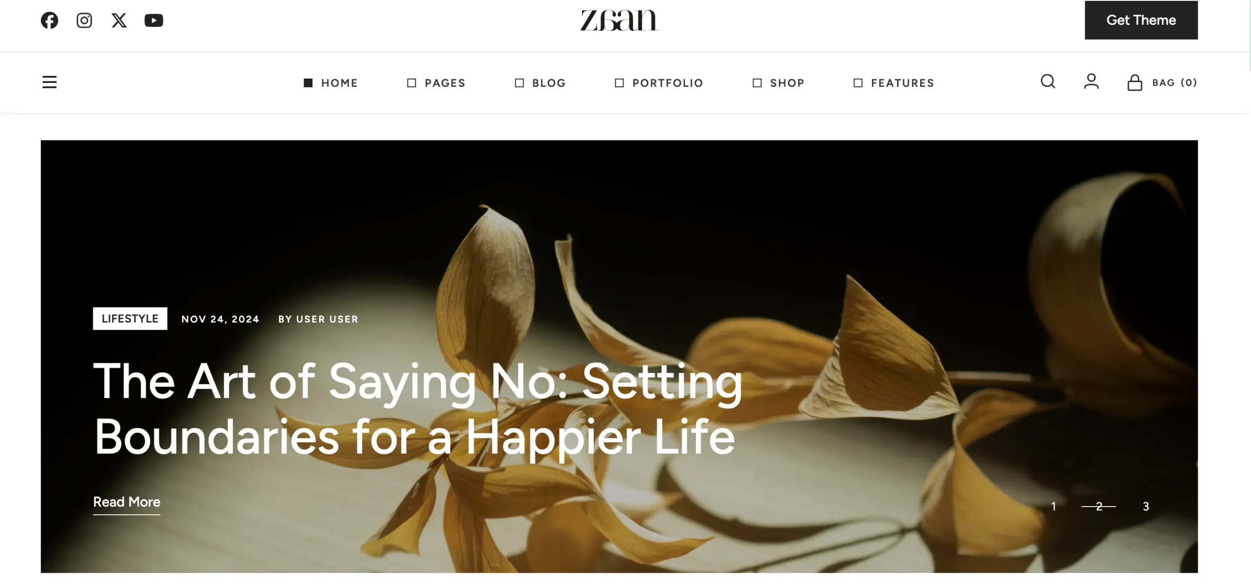 Zaan Personal Lifestyle Blog theme