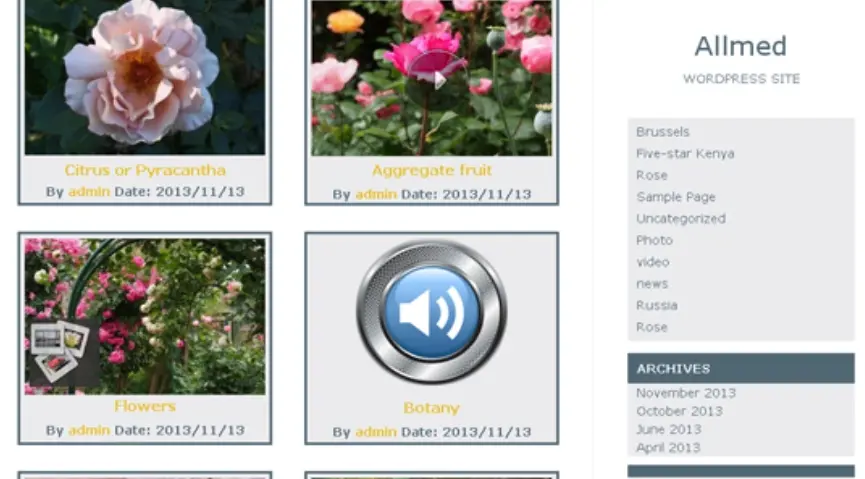 Allmed theme