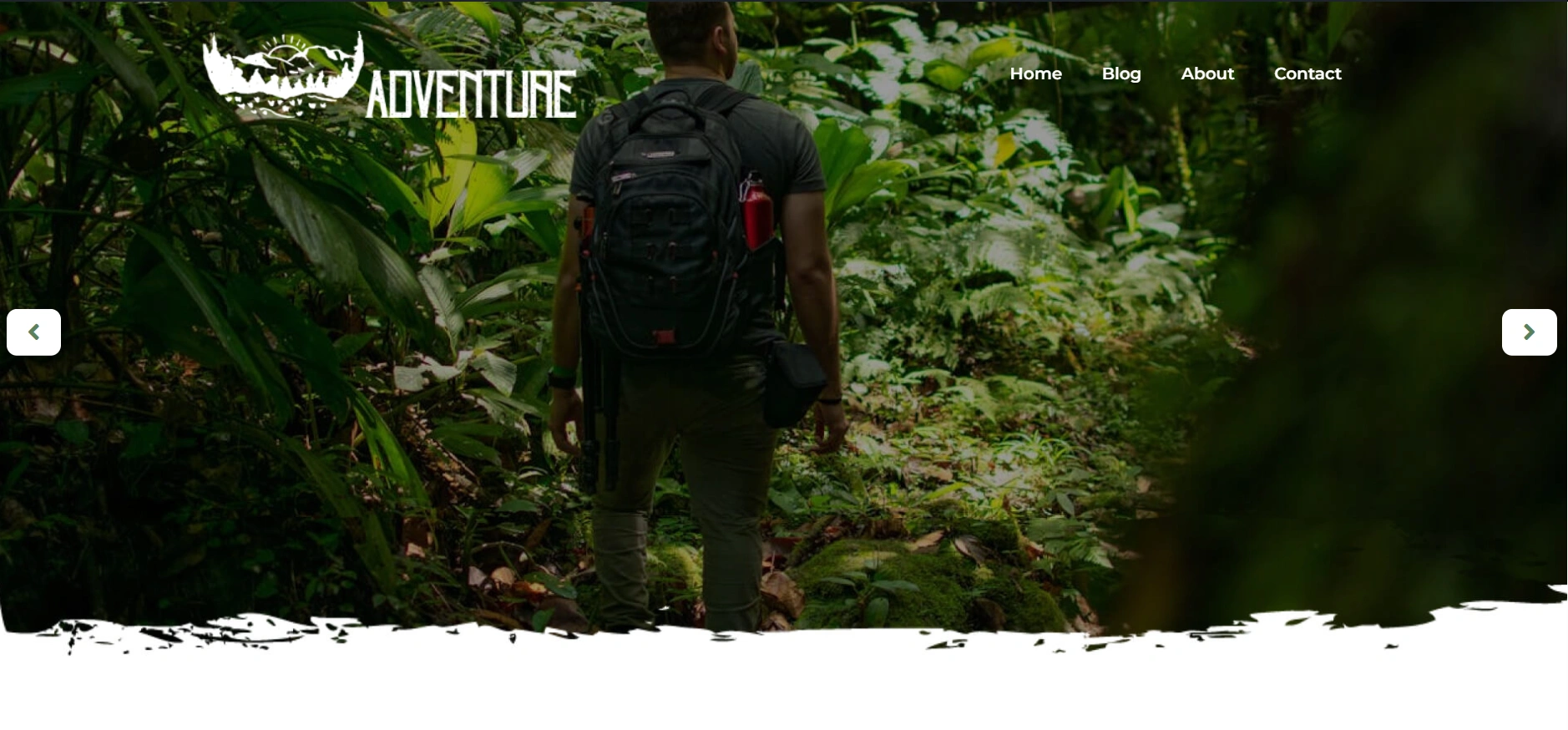 Travel Blogger WordPress Starter template