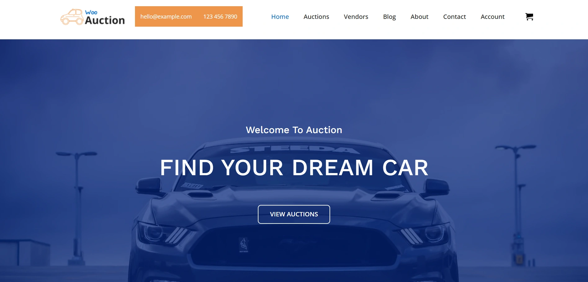 Woo Auction WordPress Starter template